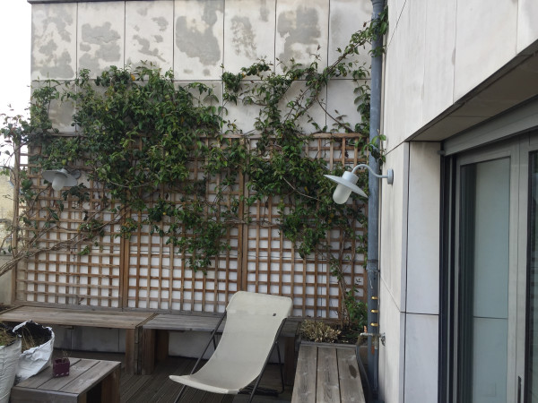Terrasse sur mesure à Neauphle-le-Château | DU RÊVE AU JARDIN